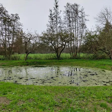 Vakantiewoning Nieuwdonk Ferienhaus Berlare